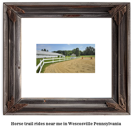 horse trail rides near me in Wescosville, Pennsylvania